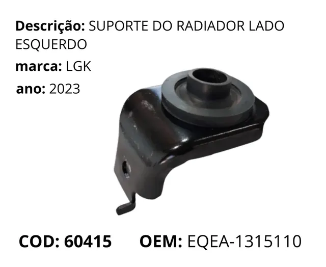 Suporte do Radiador Lado Esquerdo original para BYD Dolphin Mini, AutoVoltz