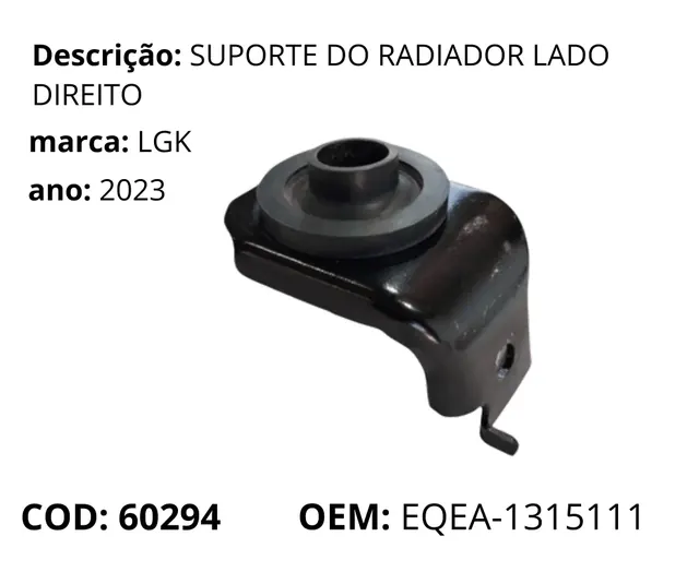 Suporte do Radiador Lado Direito original para BYD Dolphin Mini, AutoVoltz